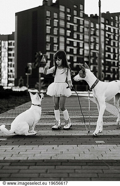 Child girl with white dogs on a walk in the city.