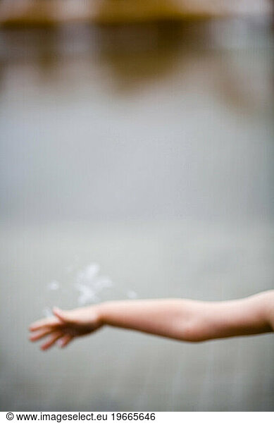 Child's arm.