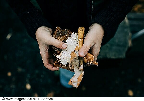 child's hands holding wood to start a fire