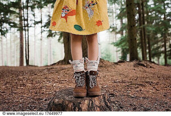 child's legs stood on a tree trunk in a autumnal outfit in forest