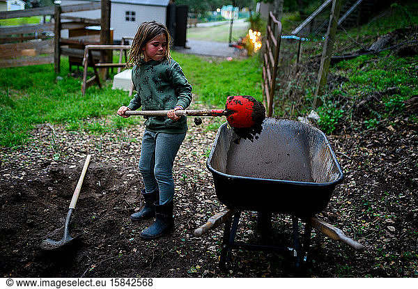 Child shoveling dirt with a red shovel into a wheelbarrow in the yard