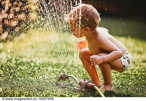 Child sticking tongue out drinking water from sprinkler in backyard