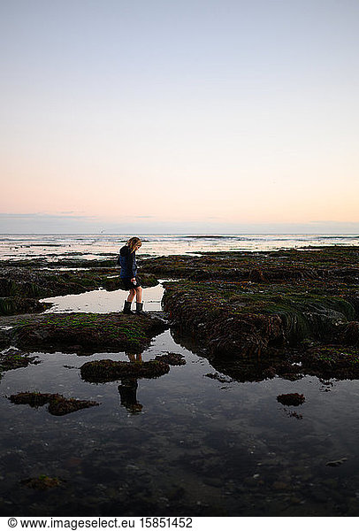 Child walking around looking down at tide pools at sunset