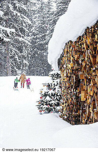 Children with grandmother walking on snow