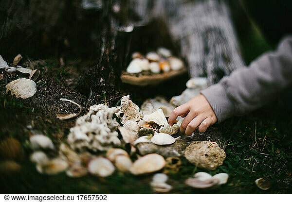 Childs hand collects sea shells from driftwood