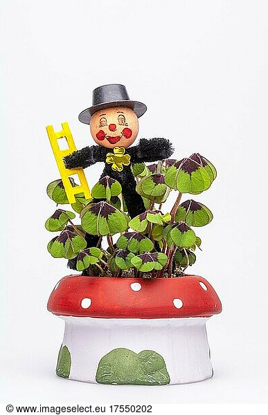 Chimney sweep figure  chimney sweep  lucky charm for New Year  lucky clover in a flower pot  toadstool