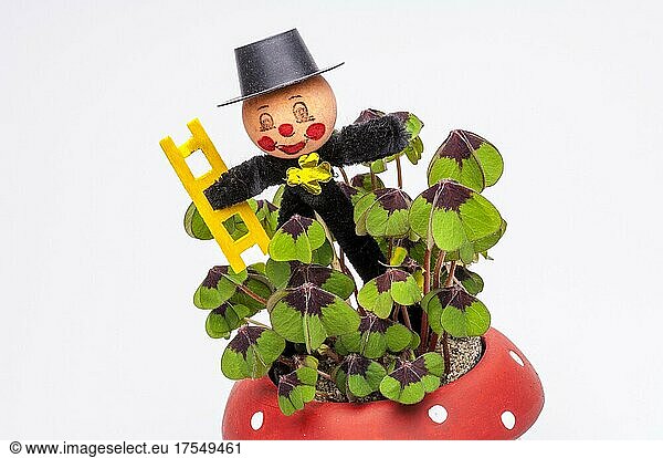 Chimney sweep figure  chimney sweep  lucky charm for New Year  lucky clover in a flowerpot