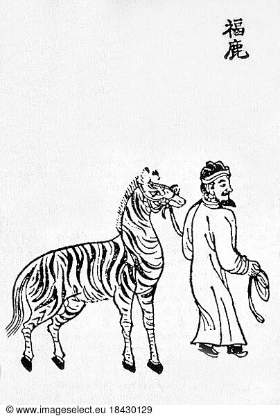 China: A zebra brought to the court of the Ming Emperor Yongle (r.1402-24) from East Africa by the fleet of Admiral Zheng He (1371–1435)Between 1405 and 1433  the Ming government sponsored a series of seven naval expeditions. The Yongle emperor designed them to establish a Chinese presence  impose imperial control over trade  impress foreign peoples in the Indian Ocean basin and extend the empire's tributary system.Zheng He was placed as the admiral in control of the huge fleet and armed forces that undertook these expeditions. Zheng He's first voyage consisted of a fleet of up to 317 ships holding almost 28 000 crewmen  with each ship housing up to 500 men.Zheng He's fleets visited Arabia  Brunei  East Africa  India  the Malay Archipelago and Thailand  dispensing and receiving goods along the way. Zheng He presented gifts of gold  silver  porcelain and silk; in return  China received such novelties as ostriches  zebras  camels  ivory and giraffes. Pictures From History
