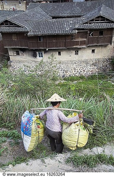 CHINA Bauern tragen Säcke mit Teeblättern während der Erntezeit in der Provinz Fujian. Foto von Julio Etchart.
