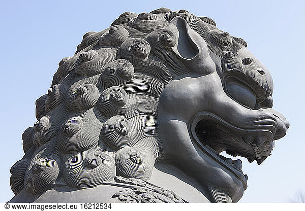 China  Beijing  Chinese guardian lion  close up