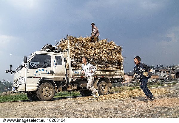 CHINA Ein mit Heu beladener Lastwagen während der Erntezeit in der Provinz Yunnan. Foto von Julio Etchart.