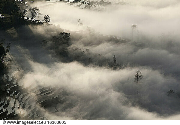 China  Yunnan  Yuanyang  Overcast rice terraces