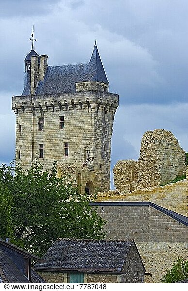 Chinon Castle (Chateau de Chinon)  Chinon  Departement Indre et Loire  Loire Valley. France