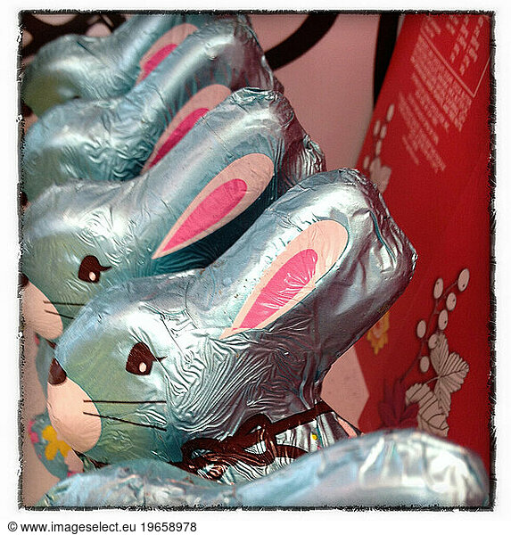 Chocolate Bunnies