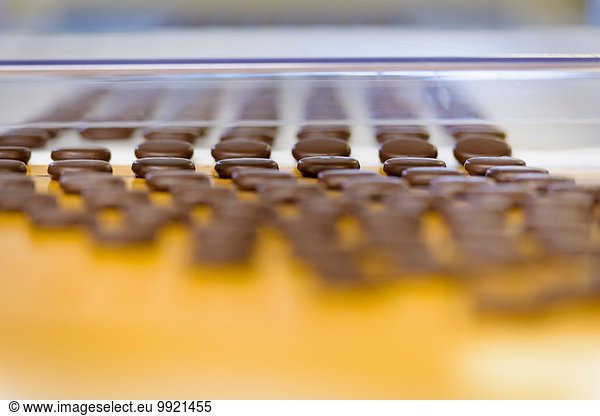 Chocolates on production line in chocolate factory