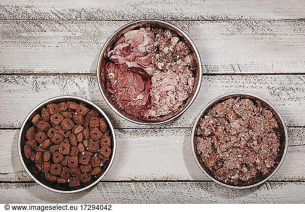 Choice between BARF (biologically appropriate raw food),  prepared canned food and dry food pellets for dog diet
