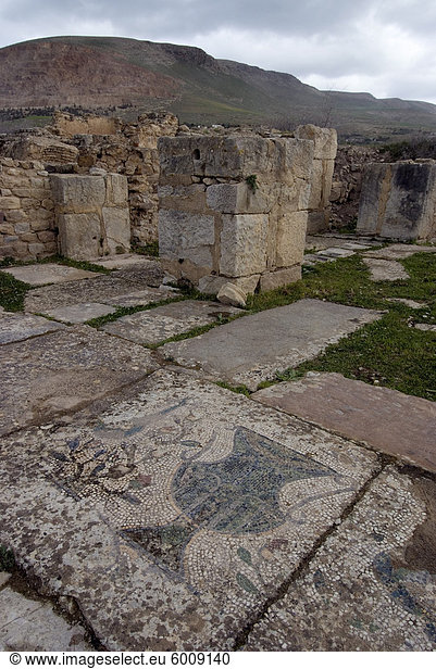 Christliche Basilika  römische Ruine der Bulla Regia  Tunesien  Nordafrika  Afrika