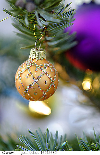 Christmas bauble hanging on tree  close up