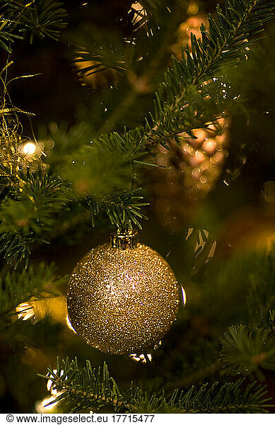 Christmas Decoration On Tree.