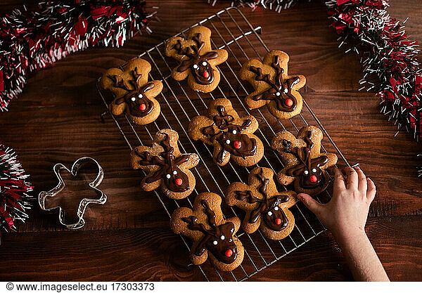 Christmas holiday festive reindeer cookies homemade with little hand