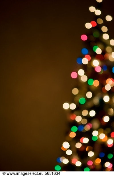 Christmas lights on tree  out of focus