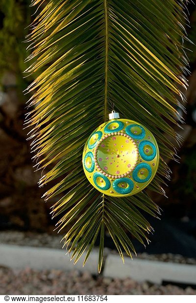 Christmas ornaments decorate a palm tree in rotunda West  Florida.