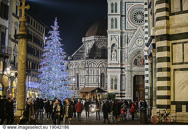 Christmas tree near Florence Cathedral  UNESCO World Heritage Site  Florence  Tuscany  Italy
