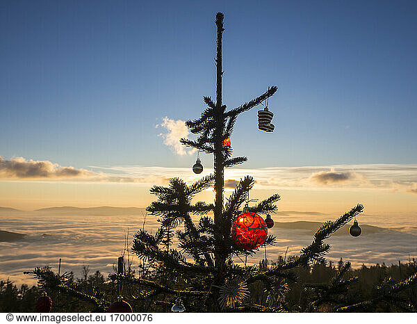 Christmas tree on summit of Heugstatt mountain at foggy sunset
