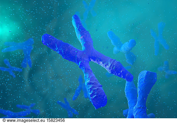Chromosomes  3D Rendering