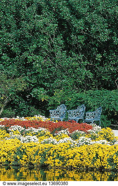 Chrysanthemums and a trio of chairs along Mirror Lake in Bellingrath Gardens  Alabama  in November.