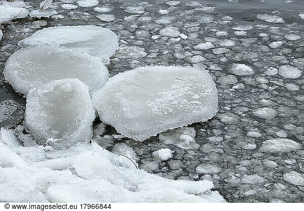 Chunks of ice  Chateauguay River  Province of Quebec  Canada  North America