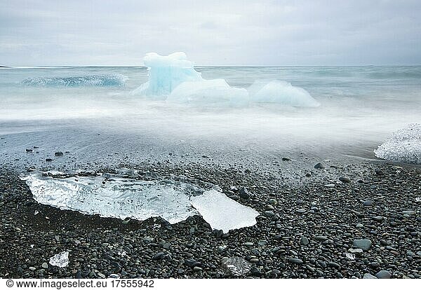 Chunks of ice on the black lava beach Diamond beach  Jökulsárlón  Austurland  Iceland  Europe