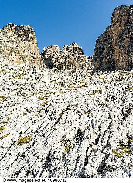Cima Falkner. Die Brenta-Dolomiten  die zum UNESCO-Welterbe Dolomiten gehören. Europa  Italien  Trentino  Val Rendena.