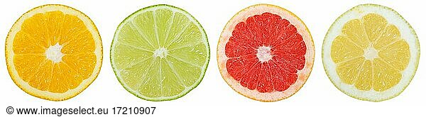 Citrus fruits tropical fruits collection orange lemon fruits in a row cut half clipping isolated against a white background