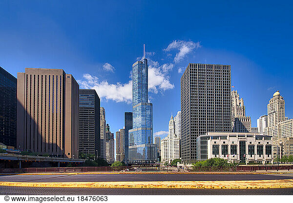 City skyline and Trump Tower in front of blue sky  Chicago  Illinois  USA
