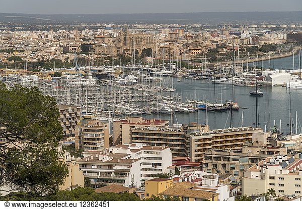 City view with Marina and Cathedral La Seu  Palma de Mallorca  Majorca  Balearic Islands  Spain .
