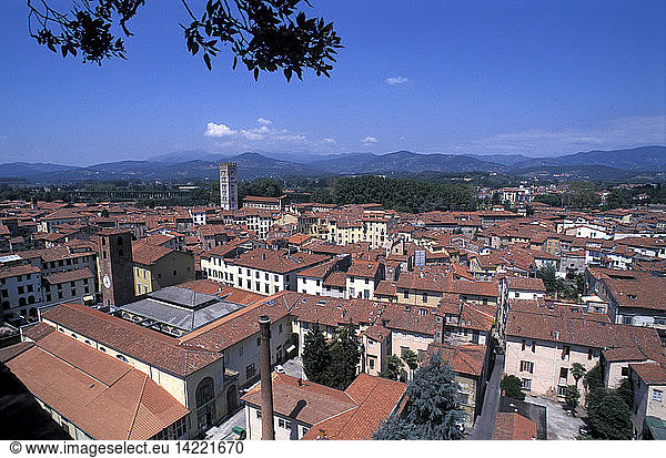 Cityscape from Guinigi tower  Lucca  Tuscany  Italy.
