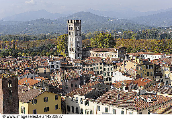 Cityscape from the top of Guinigi tower,  Lucca,  Tuscany,  Italy,  Europe