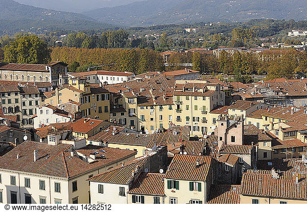 Cityscape from the top of Guinigi tower,  Lucca,  Tuscany,  Italy,  Europe