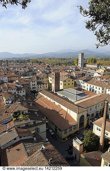 Cityscape from the top of Guinigi tower  Lucca  Tuscany  Italy  Europe