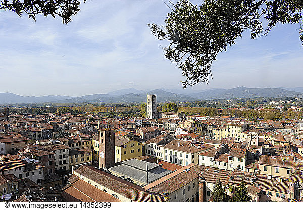 Cityscape from the top of Guinigi tower Lucca Tuscany Italy Europe