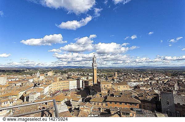 Cityscape  Siena  Tuscany  Italy  Europe