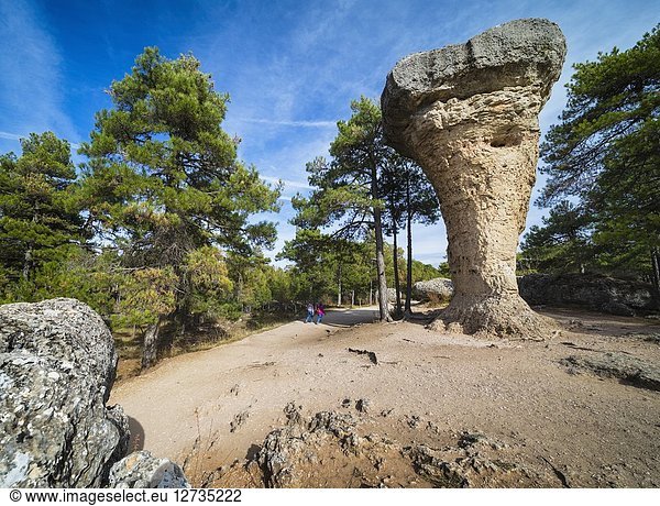 Ciudad Encantada  Cuenca Province  Castilla-La Mancha  Spain. Karstic rock formation. This one  called El Tormo Alto  is a symbol of the Ciudad Encantada  which is a protected area.