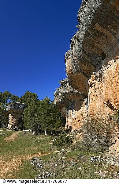 Ciudad Encantada  Verwunschene Stadt  Felsformationen  Serrania de Cuenca  Provinz Cuenca  Castilla-La Mancha  Spanien  Europa