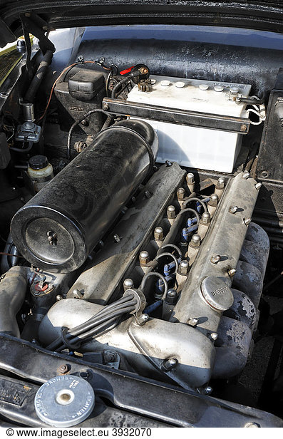 Classic car Jaguar Mark VIII  look into the engine compartment  6-cylinder engine  4.2 liters