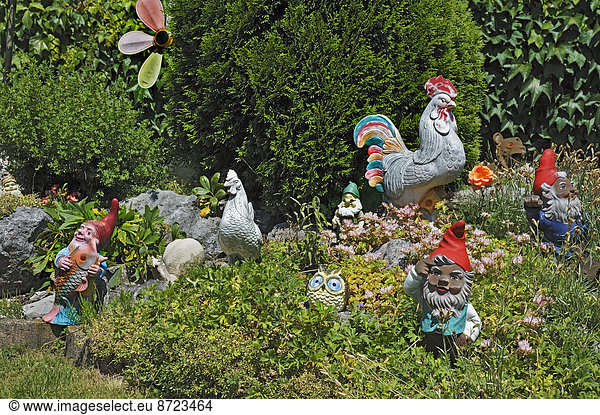 Clay figures  garden gnomes and clay chickens in a garden  Bavaria  Germany