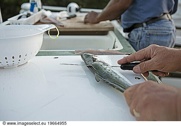 Cleaning fish