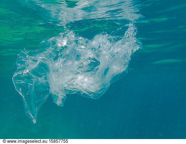 Clear plastic bag polluting our ocean
