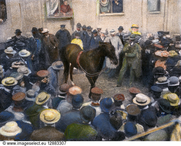 CLEVER HANS  1904. Clever Hans  the German 'thinking horse ' 'recognizing a person from his photograph' while being tested at Berlin  Germany  in 1904. Oil over a photograph.