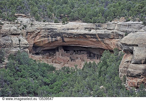 Cliff Palace  Felsenwohnungen der amerikanischen Ureinwohner  etwa 800 Jahre alt  Mesa Verde National Park  UNESCO Weltkulturerbe  Colorado  USA  Nordamerika